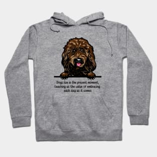 Dogs live in the present moment, teaching us the value of embracing  each day as it comes Hoodie